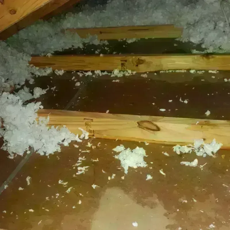 Attic Water Damage in Kalamazoo County, MI