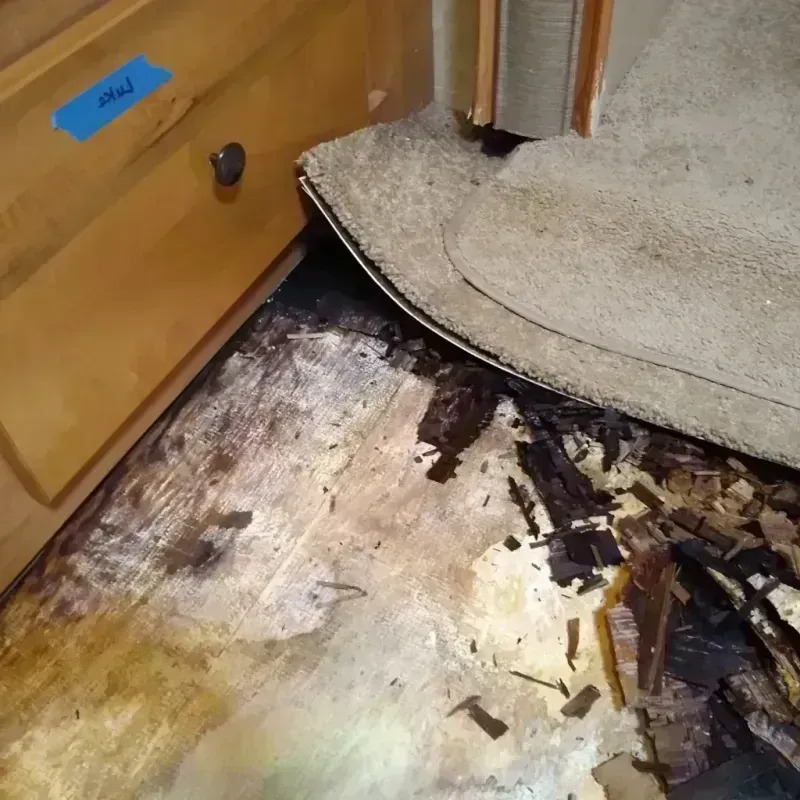 Wood Floor Water Damage in Kalamazoo County, MI